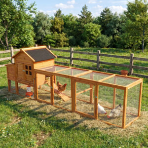 Large Chicken Coop with Run and Nest Box and Removable Tray, Hen House for 4-6 Chickens, Outdoor Weatherproof