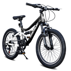20 Inch Mountain Bike,7-Speed Adult Dual-Suspension Mountain Bicycle with Sturdy Steel Frame, Excellent Twist