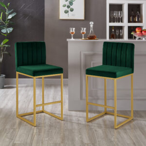 Modern Fashion Counter Height Stool Full Backrest and Sturdy Iron Legs, Set of 2 Versatile Bar Chair, Jade/Gol