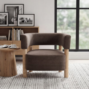 Upholstered Accent Arm Chair